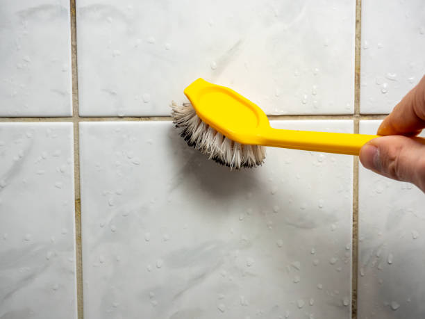 Best Mold Testing  in Trenton, IL