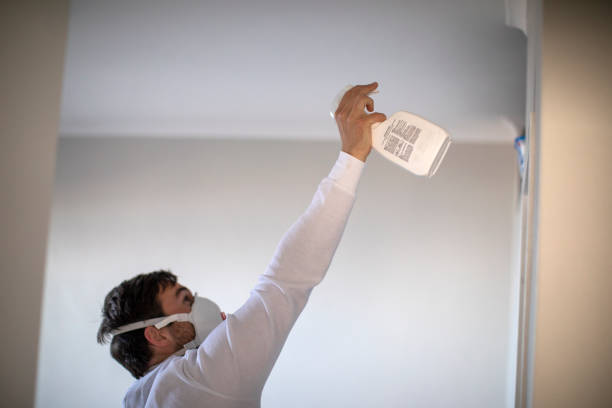 Best Emergency Mold Removal  in Trenton, IL